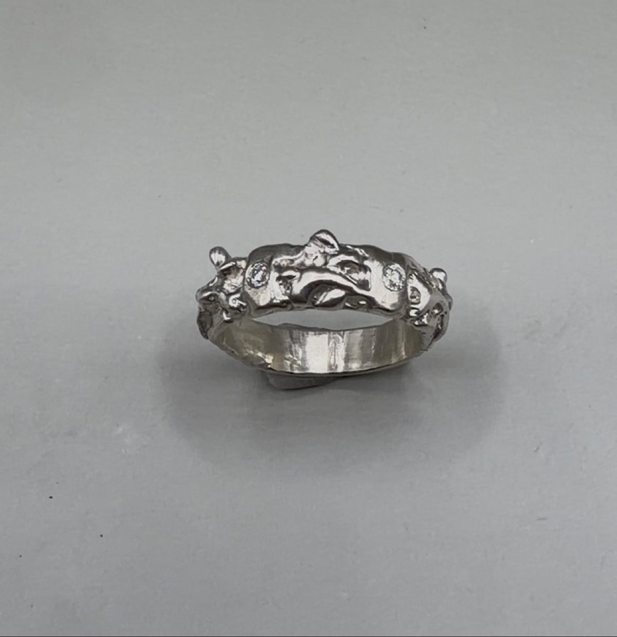 Bunny Ring standing, showing the full band